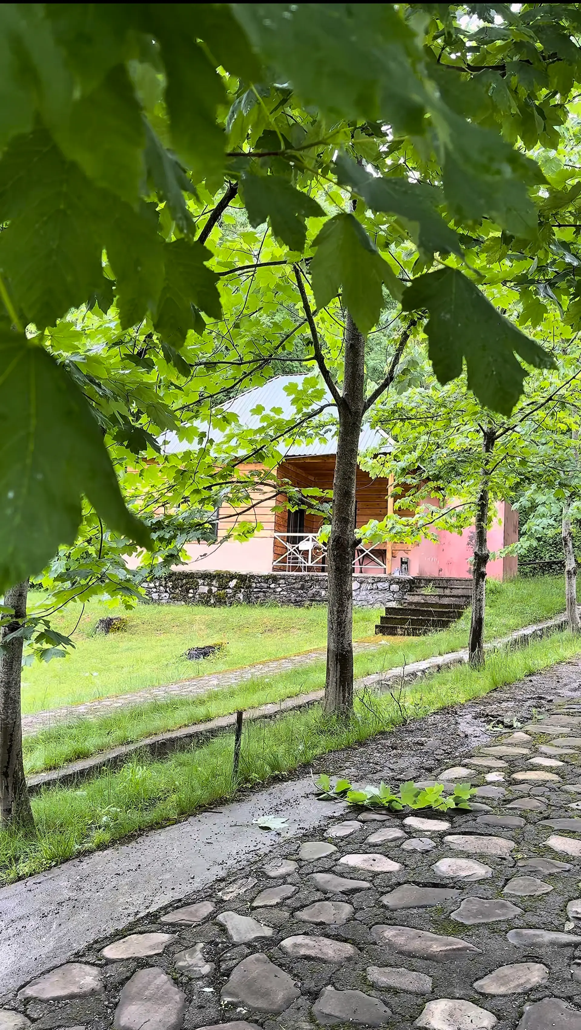Green House 3
